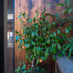 美築八坂 Homestay Kyoto